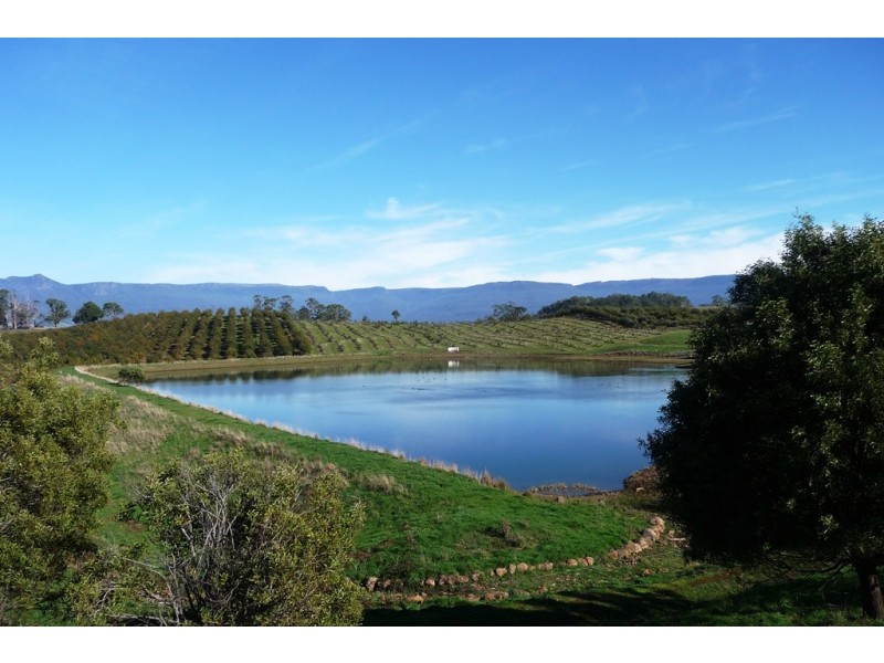 110 Trickett Road, Needles TAS 7304