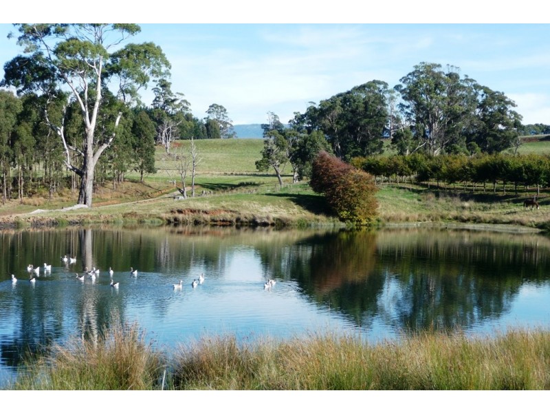 110 Trickett Road, Needles TAS 7304