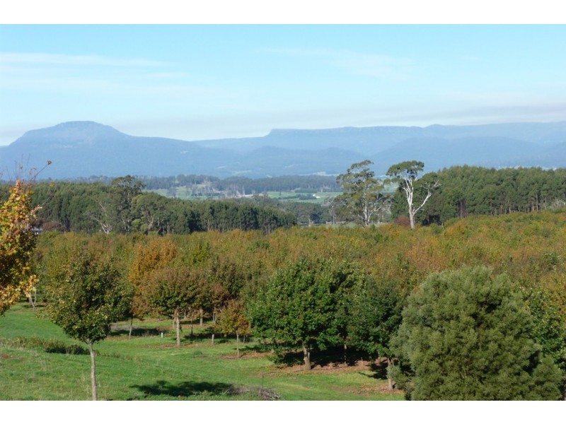 110 Trickett Road, Needles TAS 7304