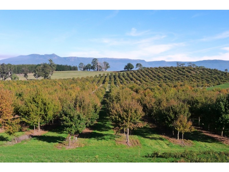 110 Trickett Road, Needles TAS 7304