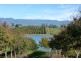 110 Trickett Road, Needles TAS 7304