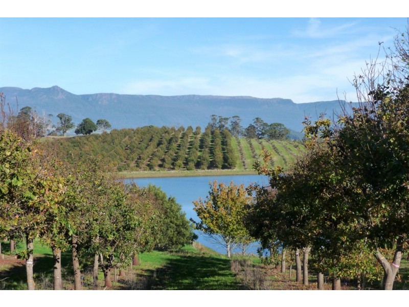 110 Trickett Road, Needles TAS 7304