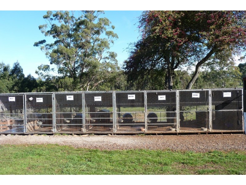 110 Trickett Road, Needles TAS 7304