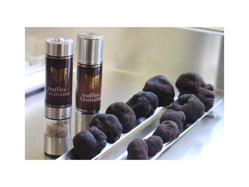 110 Trickett Road, Needles TAS 7304