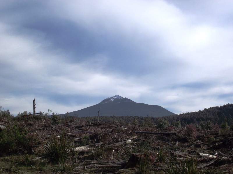 Lot 1 Huon Highway, Dover TAS 7117