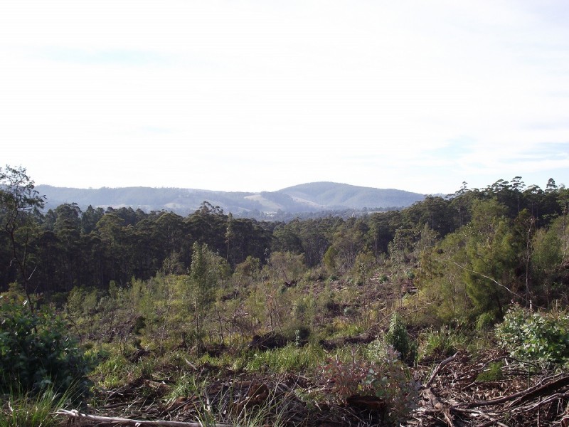 Lot 1 Huon Highway, Dover TAS 7117