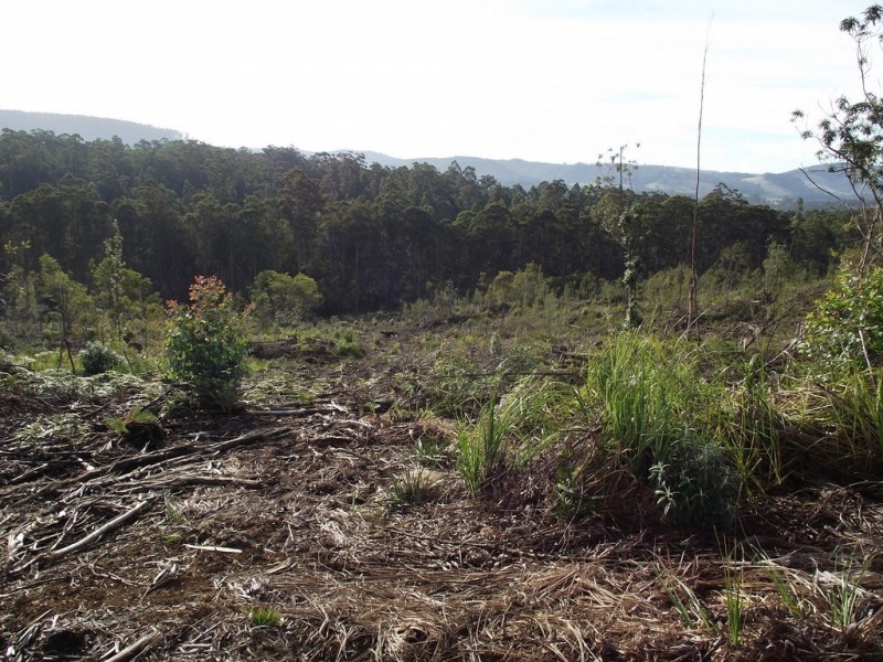 Lot 1 Huon Highway, Dover TAS 7117