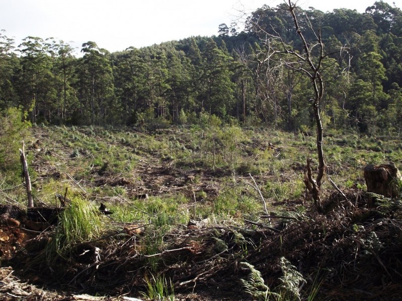 Lot 1 Huon Highway, Dover TAS 7117