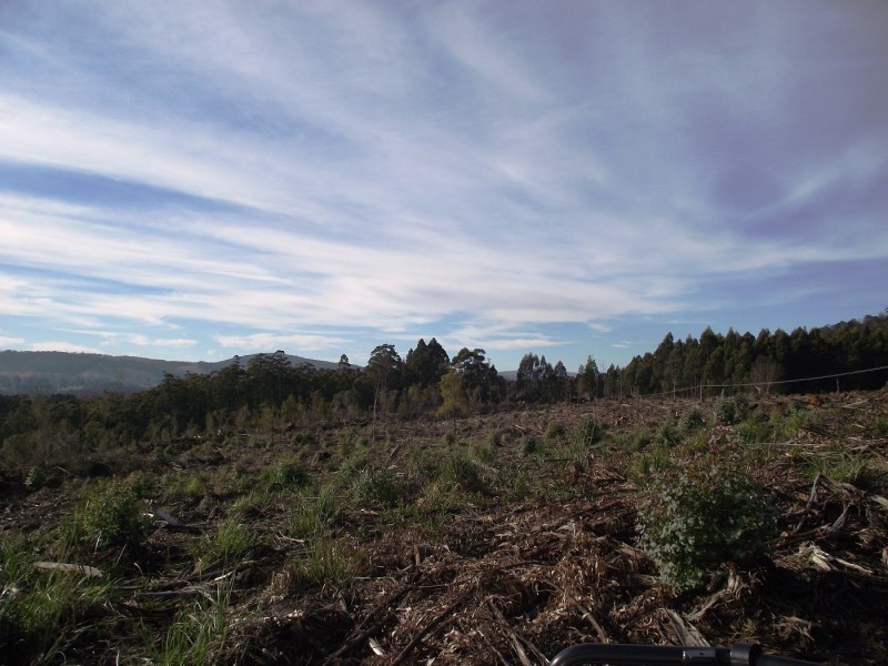 Lot 1 Huon Highway, Dover TAS 7117