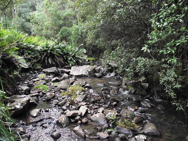 . Harwoods Road, Castle Forbes Bay TAS 7116