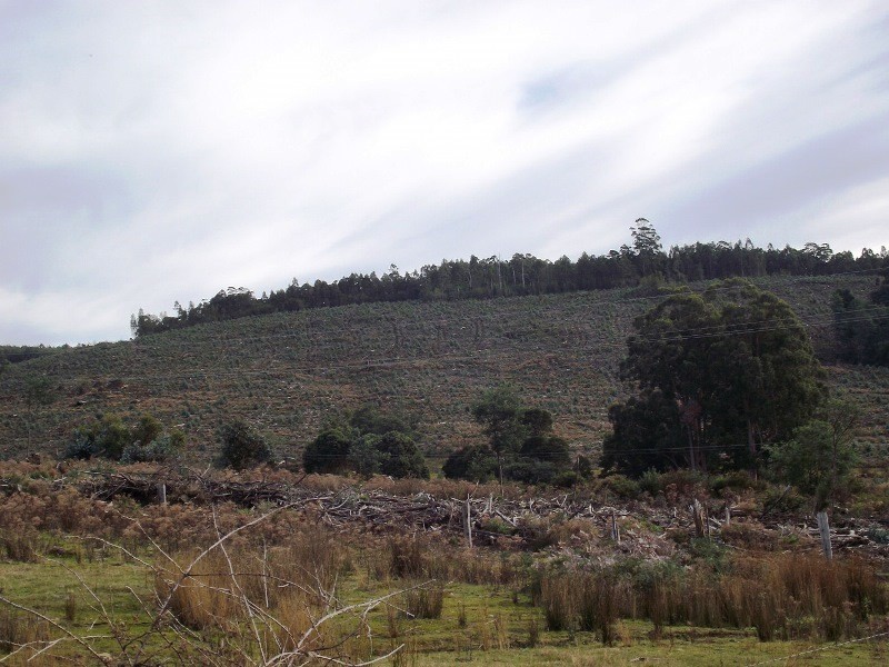 . Harwoods Road, Castle Forbes Bay TAS 7116