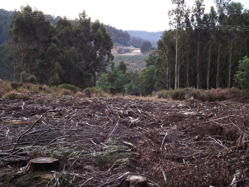 . Harwoods Road, Castle Forbes Bay TAS 7116