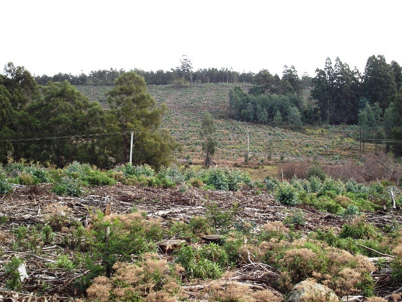 . Harwoods Road, Castle Forbes Bay TAS 7116