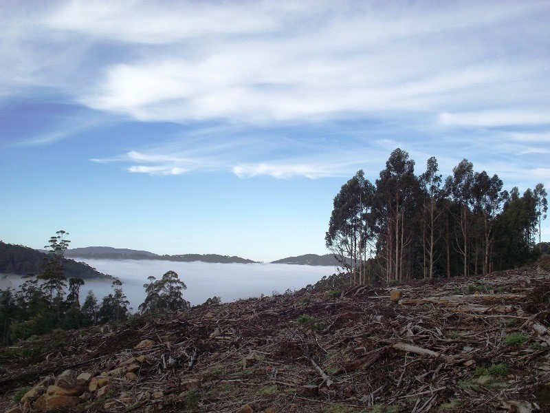 . Harwoods Road, Castle Forbes Bay TAS 7116