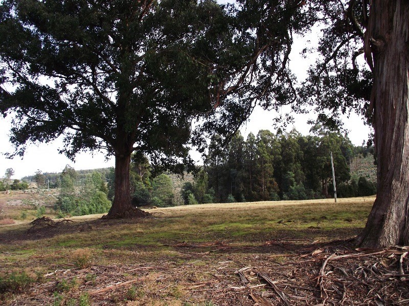 . Harwoods Road, Castle Forbes Bay TAS 7116