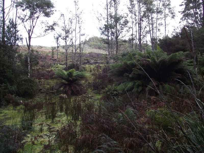 . Harwoods Road, Castle Forbes Bay TAS 7116