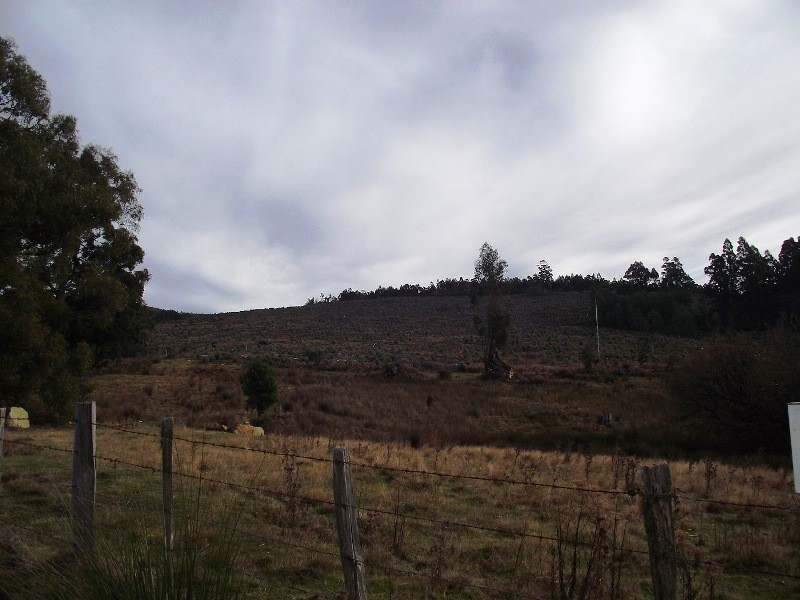 . Harwoods Road, Castle Forbes Bay TAS 7116