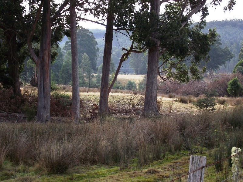 . Harwoods Road, Castle Forbes Bay TAS 7116