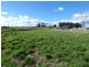49 Winnaleah Road, Winnaleah TAS 7265