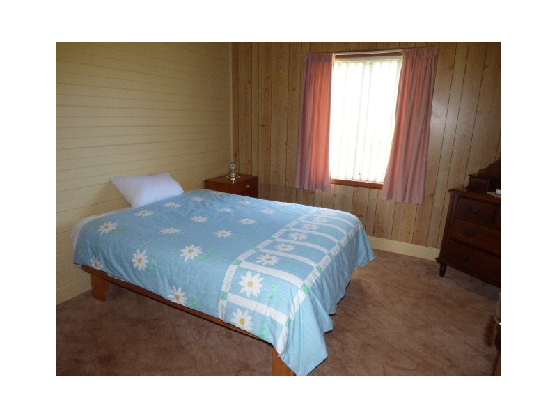 49 Winnaleah Road, Winnaleah TAS 7265
