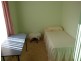 49 Winnaleah Road, Winnaleah TAS 7265
