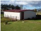 49 Winnaleah Road, Winnaleah TAS 7265
