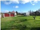 49 Winnaleah Road, Winnaleah TAS 7265