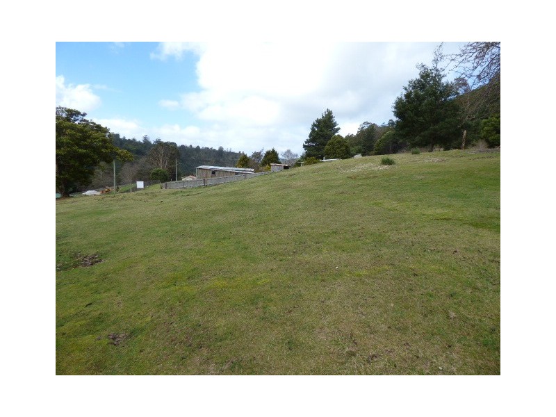 23 Renison Street, Derby TAS 7264