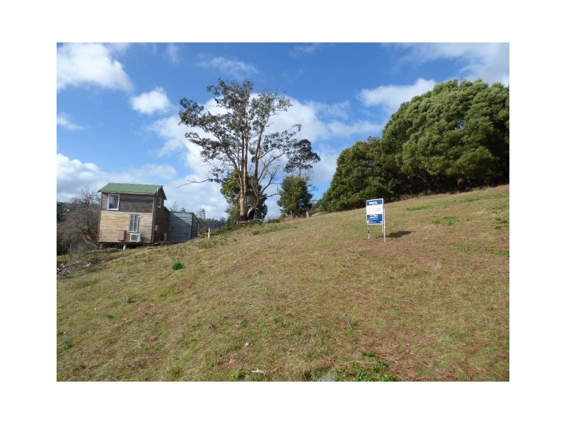 23 Renison Street, Derby TAS 7264