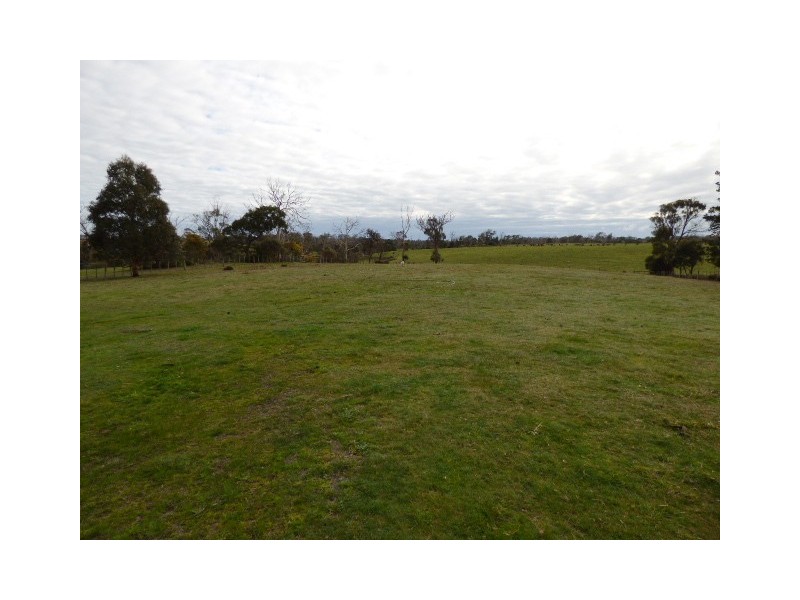 90 Boddingtons Road, Bridport TAS 7262