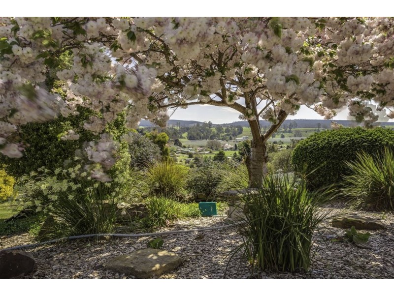 22 Scott Street, Branxholm TAS 7261