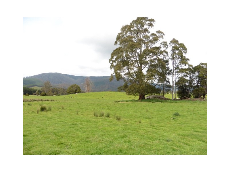 . MacKenzie Valley Road and Capples Road, Cuckoo TAS 7260
