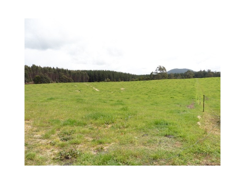 . MacKenzie Valley Road and Capples Road, Cuckoo TAS 7260
