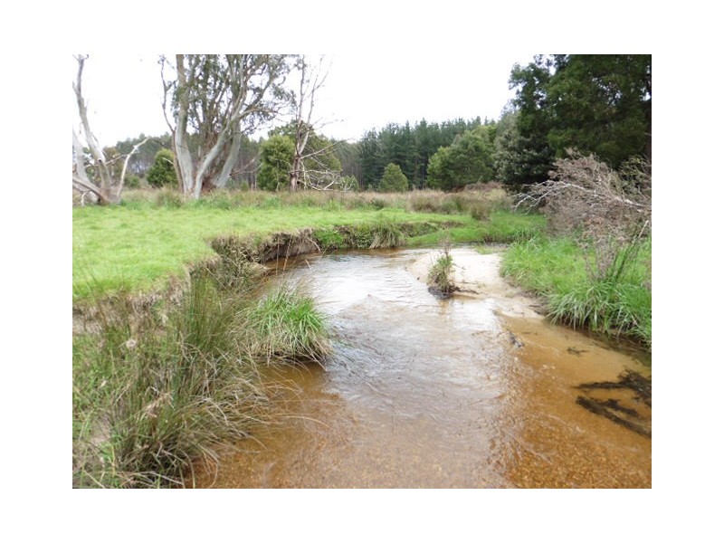 . MacKenzie Valley Road and Capples Road, Cuckoo TAS 7260