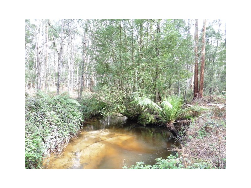 . MacKenzie Valley Road and Capples Road, Cuckoo TAS 7260