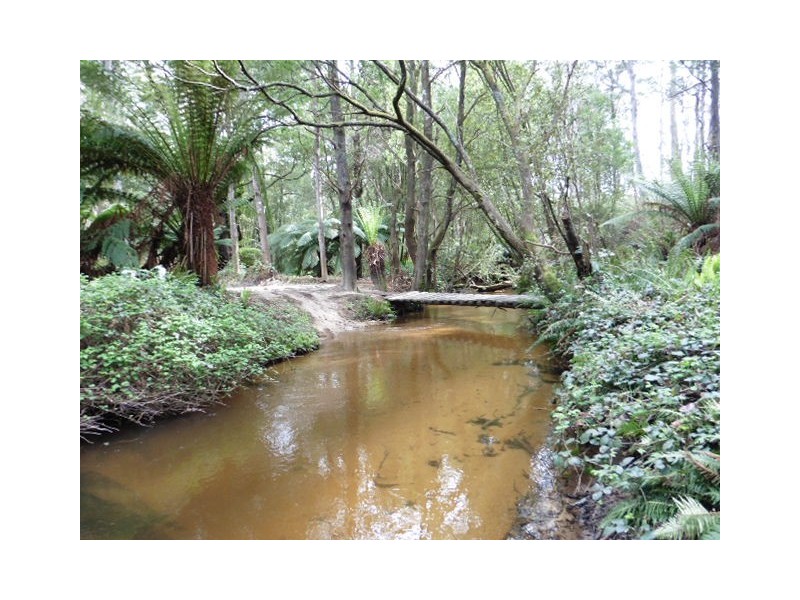 . MacKenzie Valley Road and Capples Road, Cuckoo TAS 7260