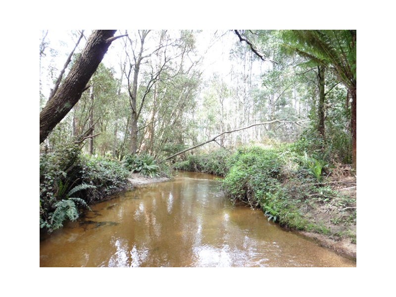 . MacKenzie Valley Road and Capples Road, Cuckoo TAS 7260