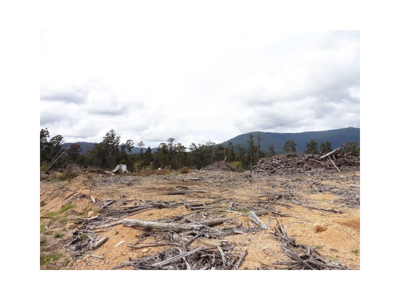 . MacKenzie Valley Road and Capples Road, Cuckoo TAS 7260