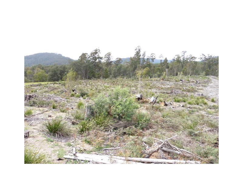 . MacKenzie Valley Road and Capples Road, Cuckoo TAS 7260