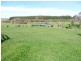 578 Sandy Points Road, Bridport TAS 7262