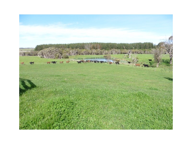 578 Sandy Points Road, Bridport TAS 7262