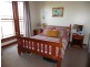 578 Sandy Points Road, Bridport TAS 7262
