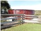 578 Sandy Points Road, Bridport TAS 7262