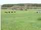 578 Sandy Points Road, Bridport TAS 7262
