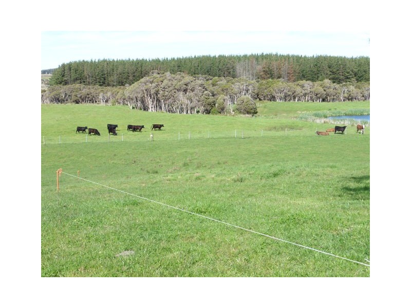 578 Sandy Points Road, Bridport TAS 7262