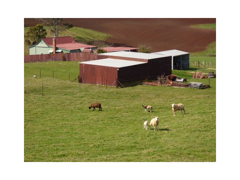 97 Winnaleah Road, Winnaleah TAS 7265