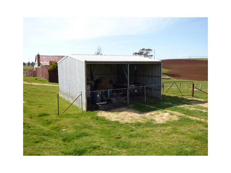 97 Winnaleah Road, Winnaleah TAS 7265