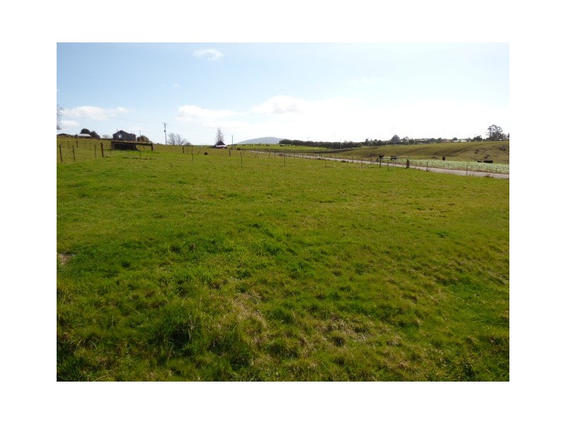 97 Winnaleah Road, Winnaleah TAS 7265