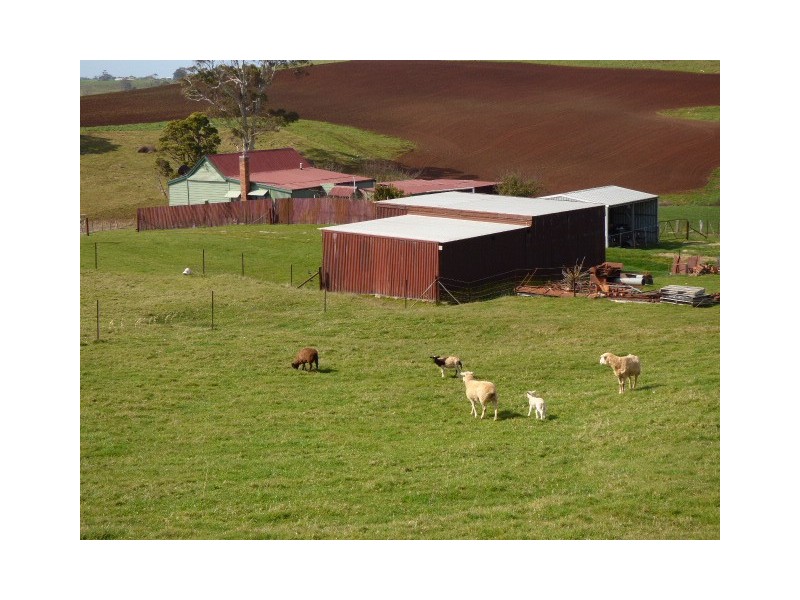 97 Winnaleah Road, Winnaleah TAS 7265