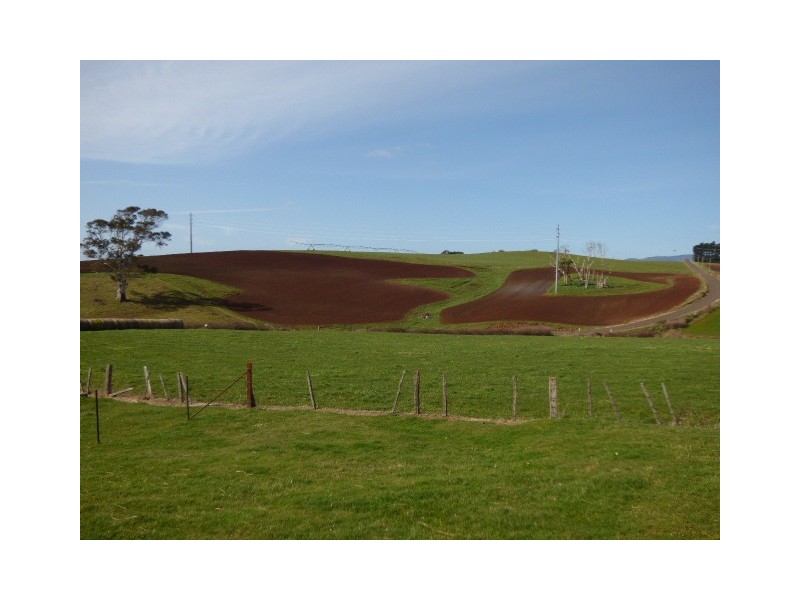 97 Winnaleah Road, Winnaleah TAS 7265